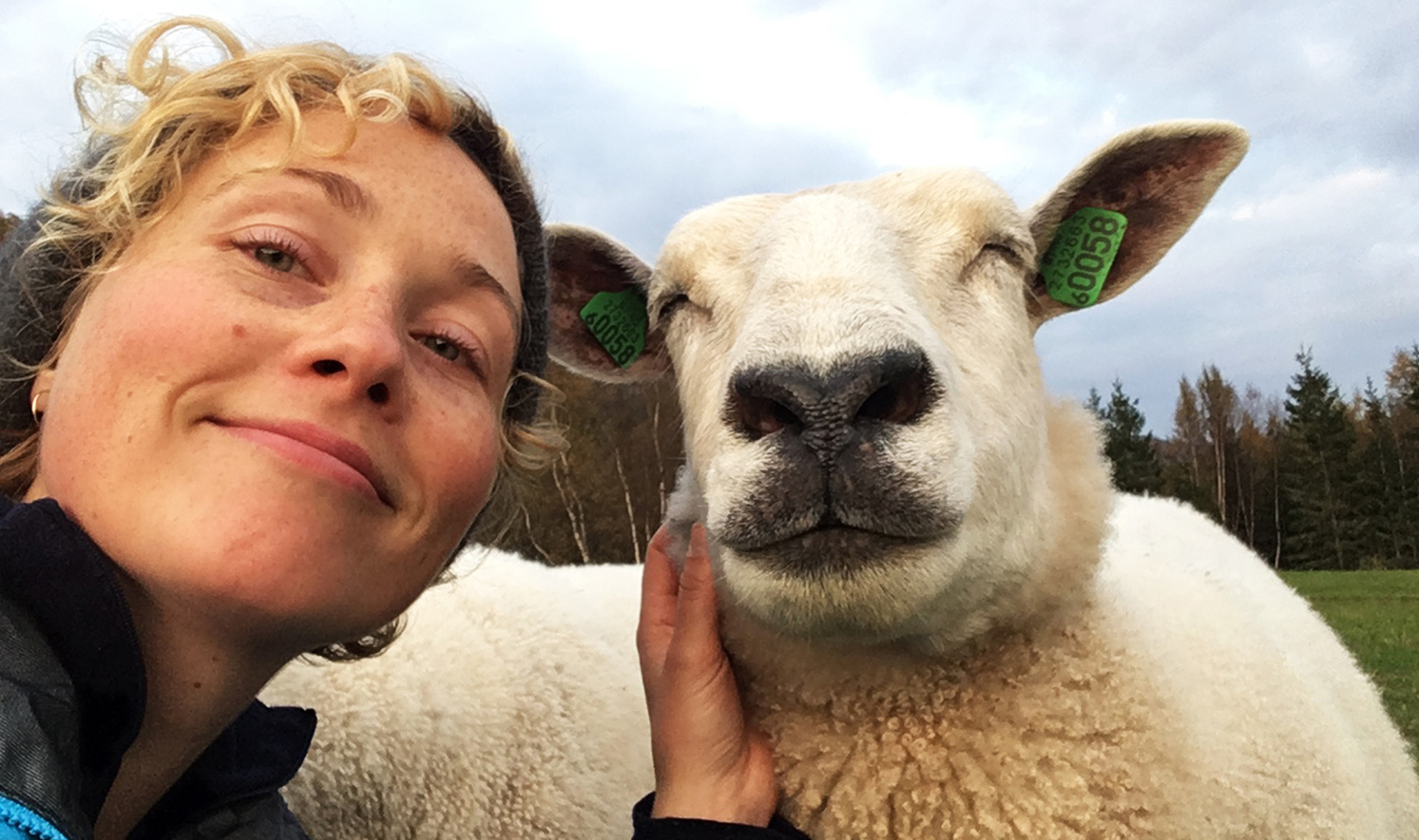 Woolly 02
