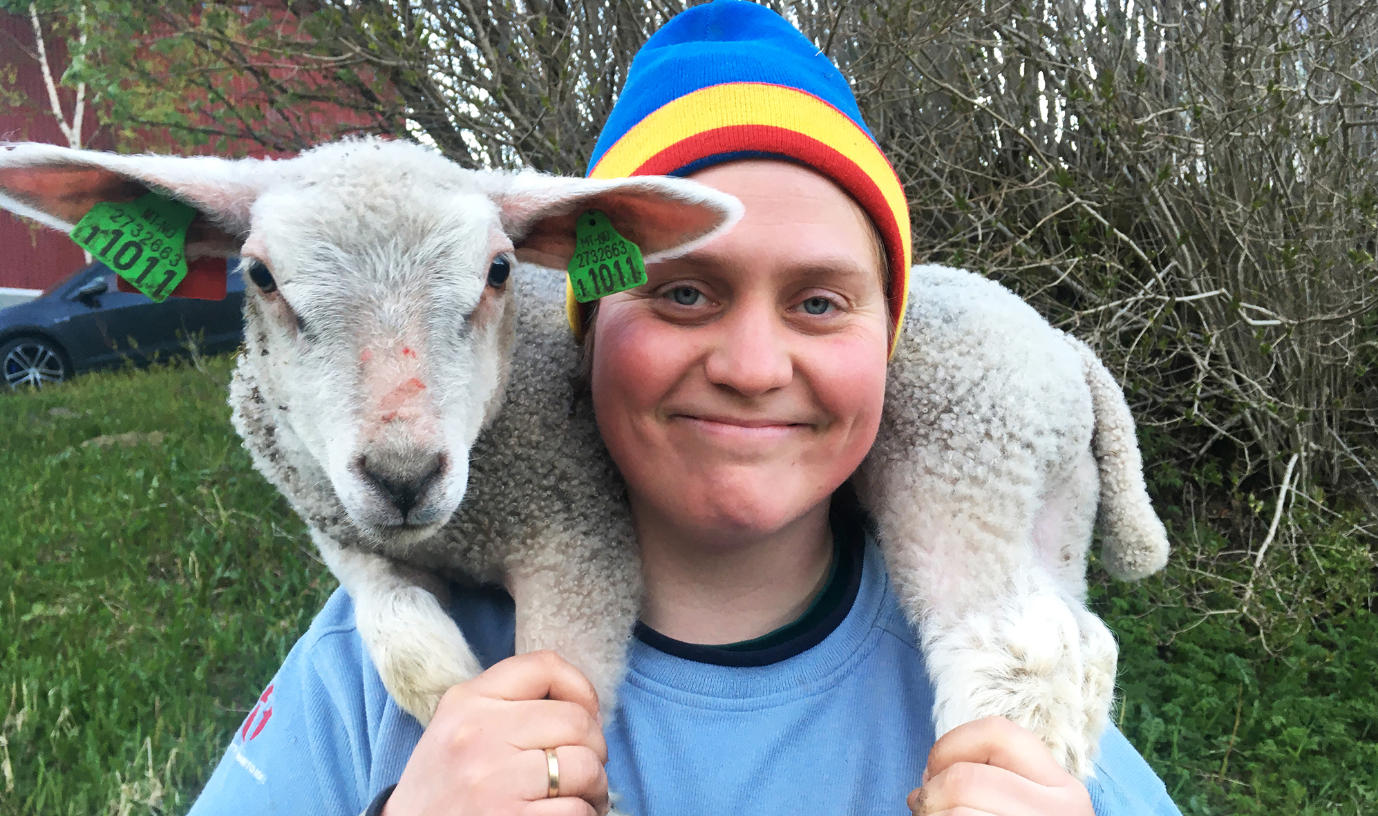 Woolly 01